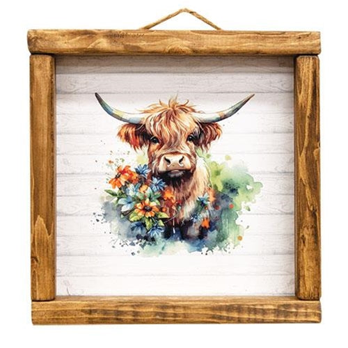 Baby Highland cow