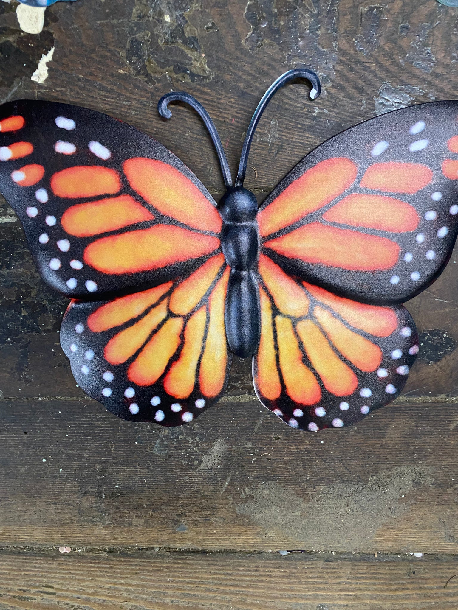 12 x 9 metal butterfly